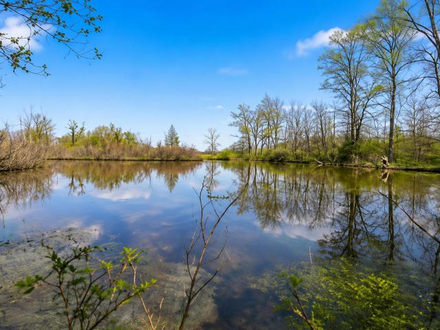 Land for sale in Leo, Indiana