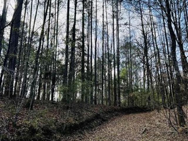 House for sale in Saint Francisville, Louisiana