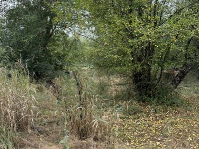 Land for sale in Washington