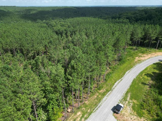 Land for sale in Tennessee