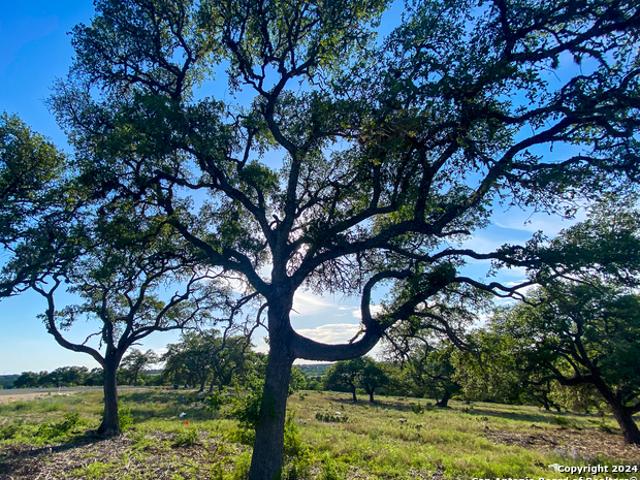 Land for sale in Kerrville, Texas