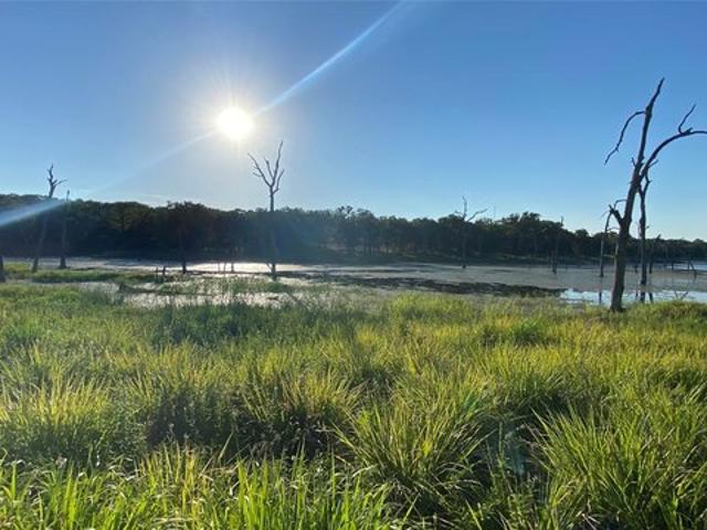 Land for sale in Sunset, Texas
