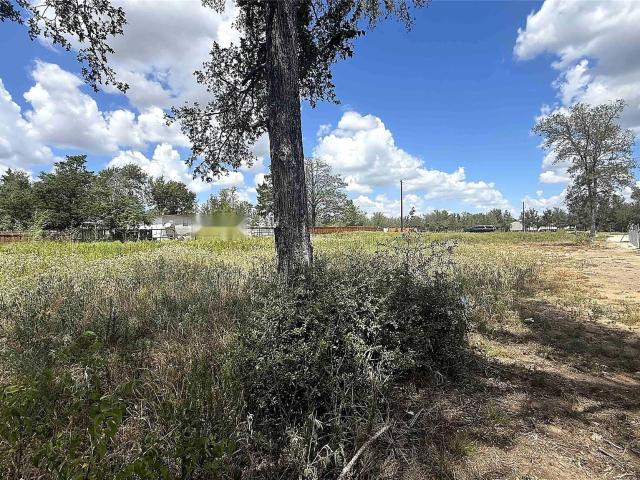 Land for sale in Elgin, Texas