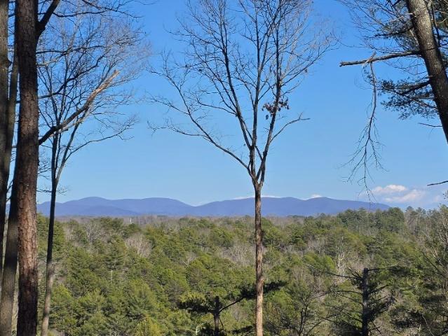 Land for sale in Gilmer, Georgia