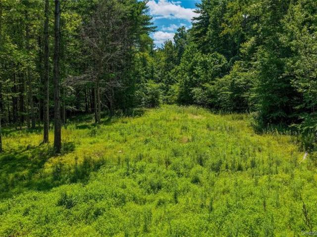 Land for sale in Acra, New York
