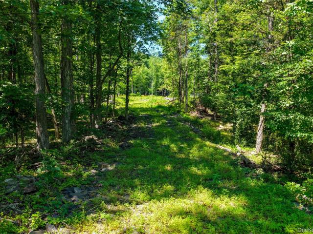 Land for sale in Acra, New York