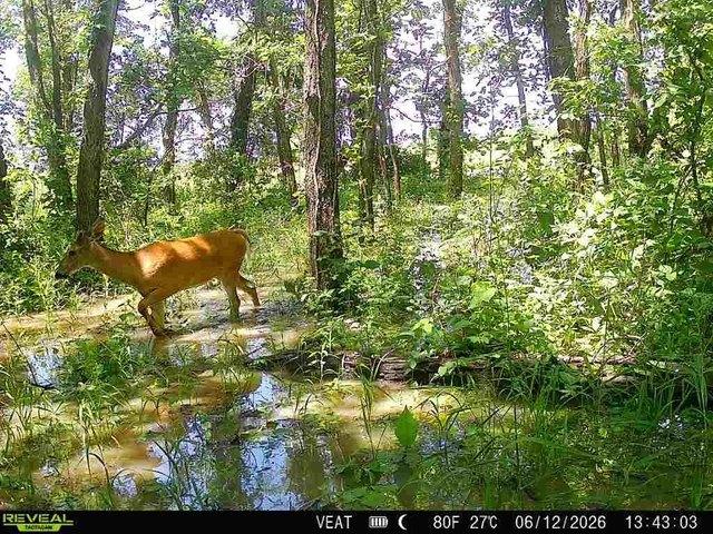 Land for sale in Carlisle, Iowa
