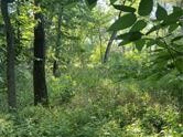 Land for sale in Carlisle, Iowa