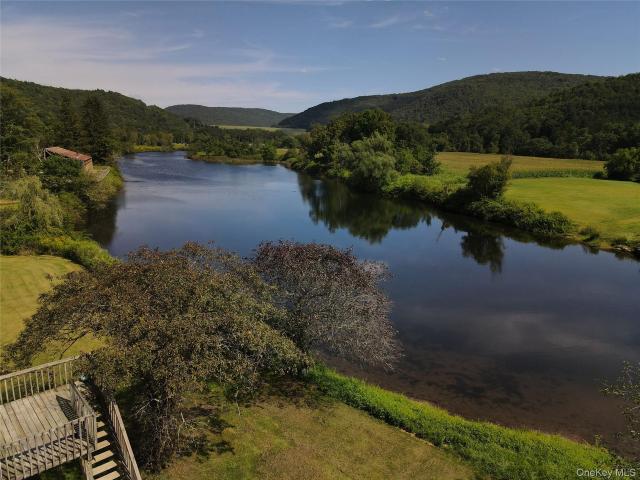 House for sale in Downsville, New York