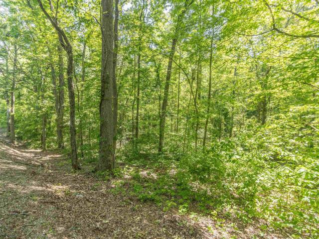 Land for sale in Tennessee