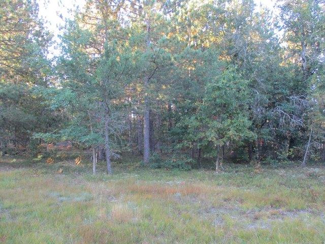 Land for sale in Grayling, Crawford County