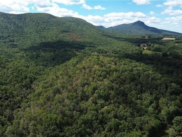 Land for sale in Danbury, Stokes County