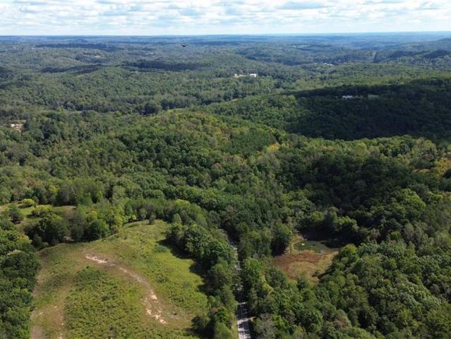 Land for sale in Danbury, Stokes County