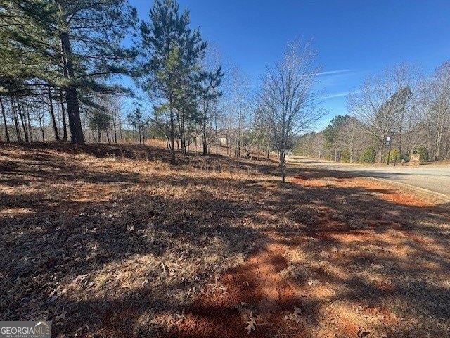 Land for sale in Toccoa, Georgia