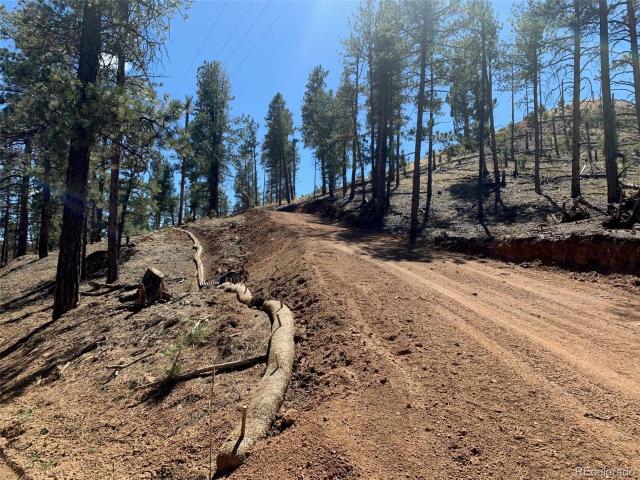 Land for sale in Woodland Park, Colorado