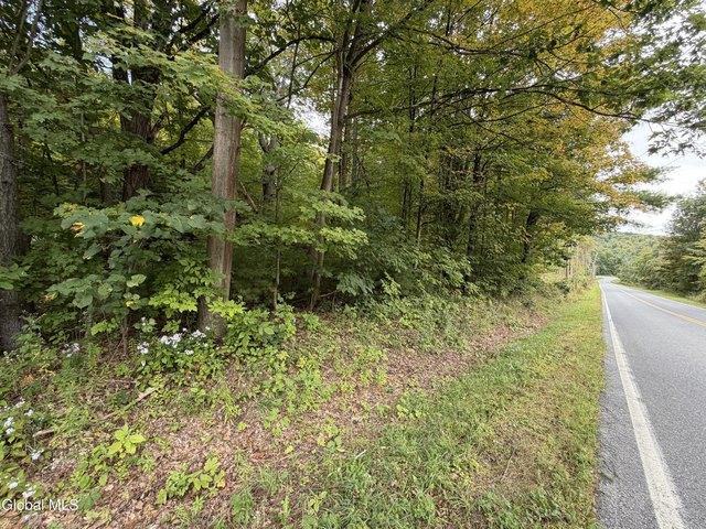 Land for sale in Town of Whitehall, Washington County