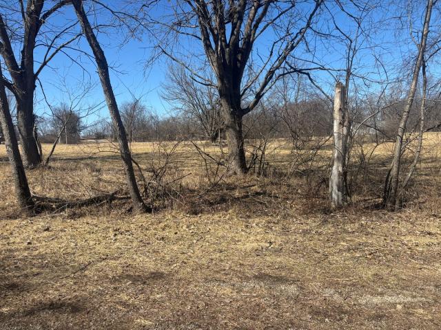 Land for sale in Marshall, Illinois
