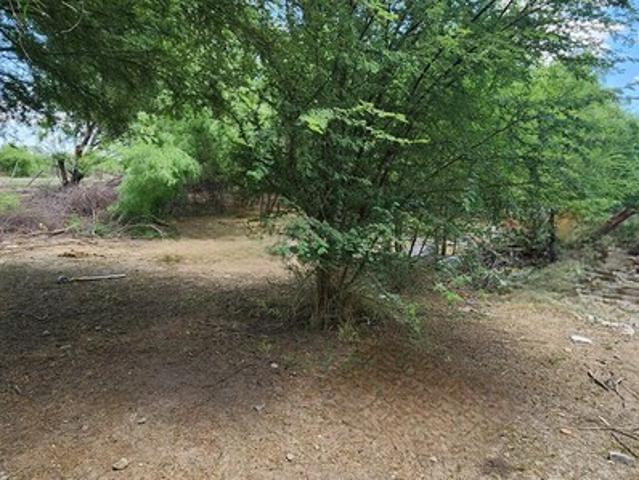 Land for sale in Quemado, Texas