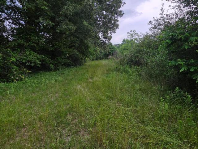 Land for sale in Bogue Chitto, Mississippi