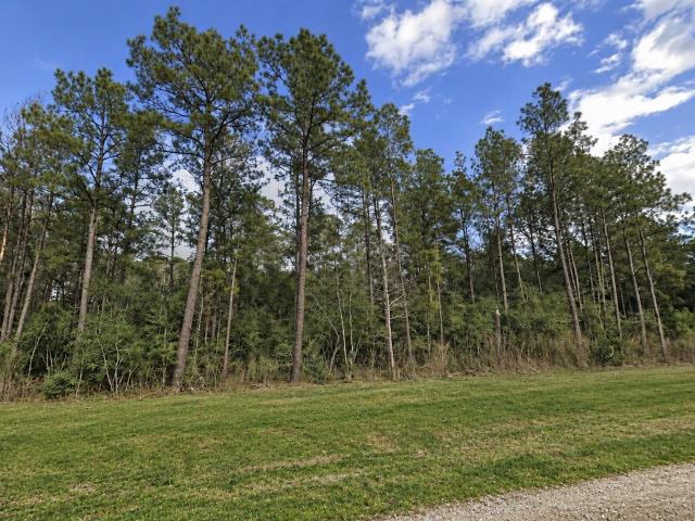 Land for sale in Willis, Montgomery County
