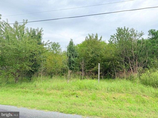 Land for sale in Henderson, Maryland