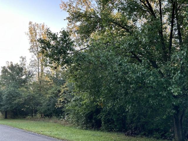 Land for sale in Michigan