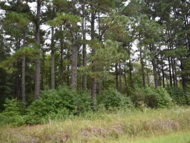 Land for sale in Kingstree, South Carolina