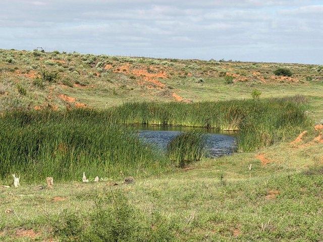 Farm for sale in Childress, Texas