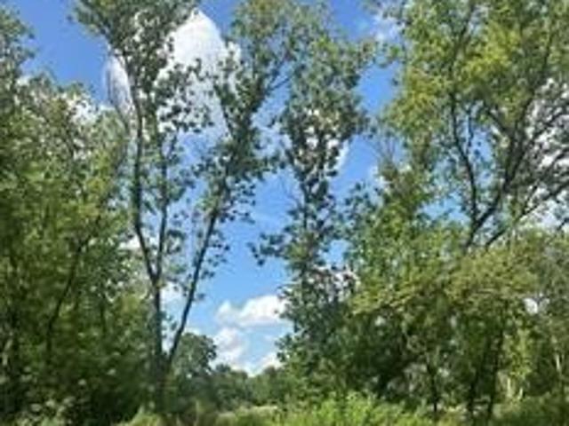 Land for sale in Fenton, Michigan