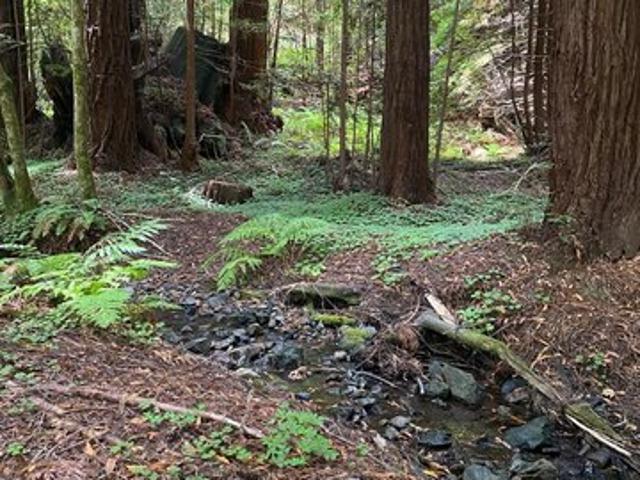 Land for sale in Cazadero, California