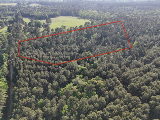 Land for sale in Grapeland, Texas