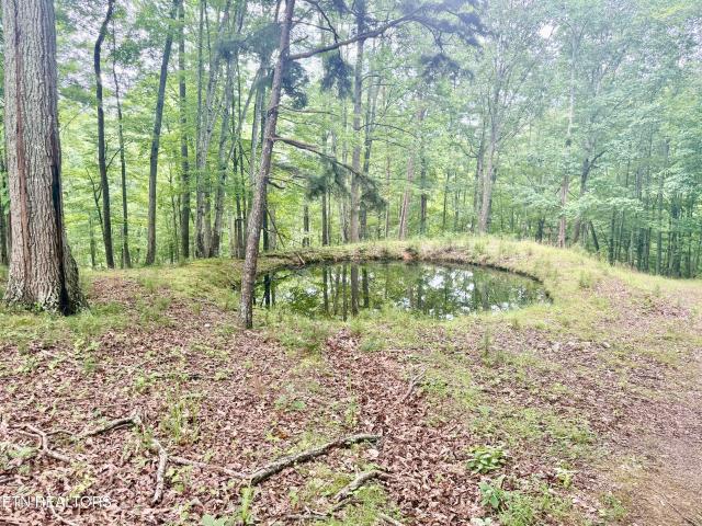 Land for sale in Tennessee