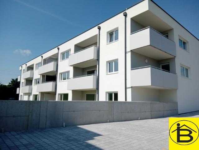 Apartment mieten in Loosdorf, Niederösterreich