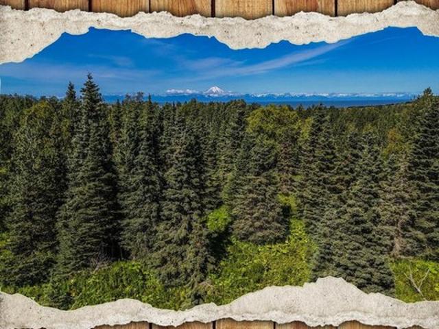 Land for sale in Ninilchik