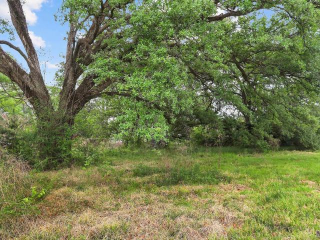 Land for sale in Greenwell Springs, Louisiana