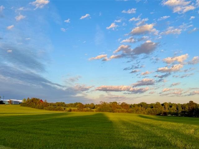 House for sale in Cayuga, New York