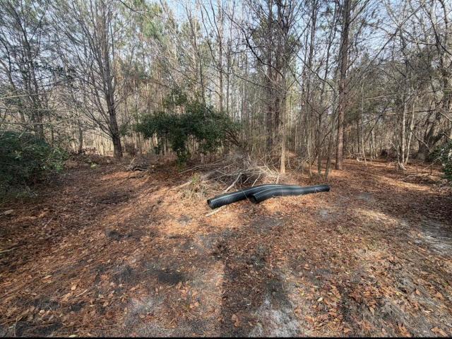 Land for sale in Elgin, South Carolina