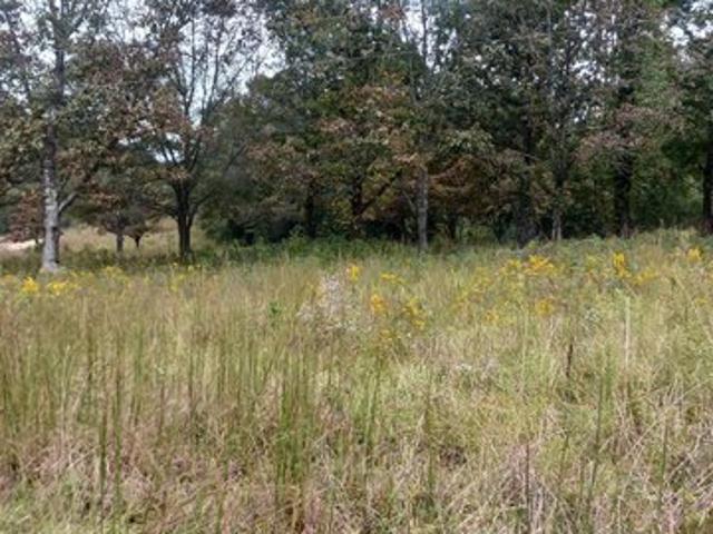Land for sale in Pickens, South Carolina