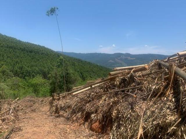 Land for sale in Mopani, Limpopo