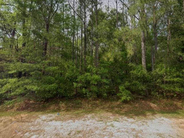 Land for sale in Dougherty, Georgia