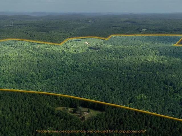 Land for sale in Troy, North Carolina