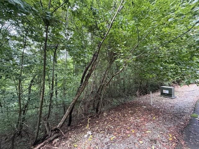Land for sale in Tennessee