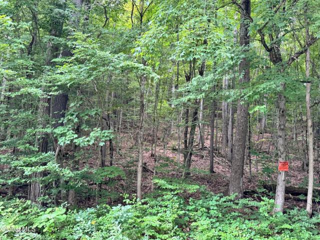 Land for sale in New York