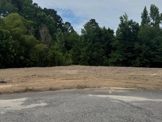 Land for sale in Cameron, North Carolina