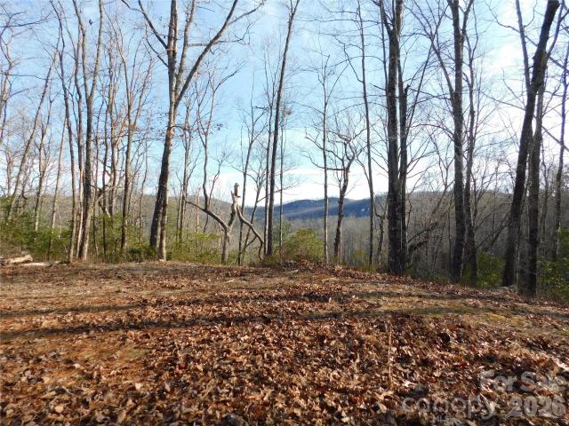 Land for sale in Transylvania, North Carolina