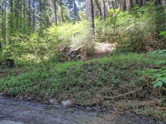 Land for sale in California