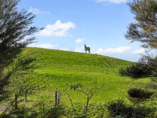 Property for sale in Waimauku