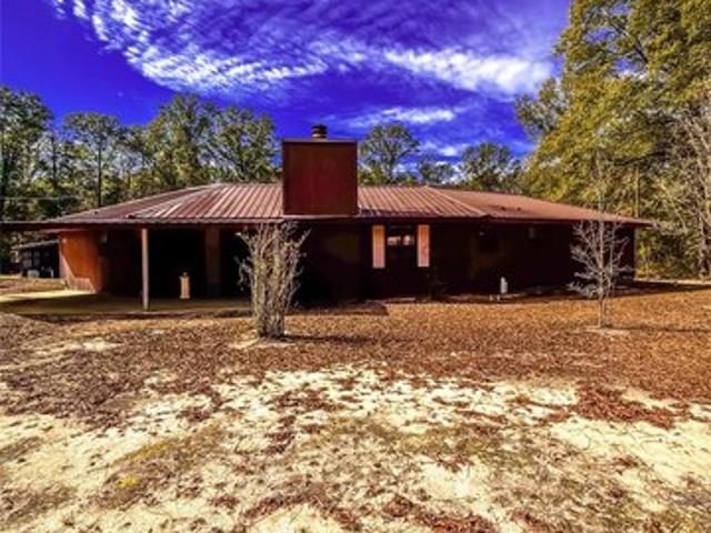 House for sale in Geneva, Alabama