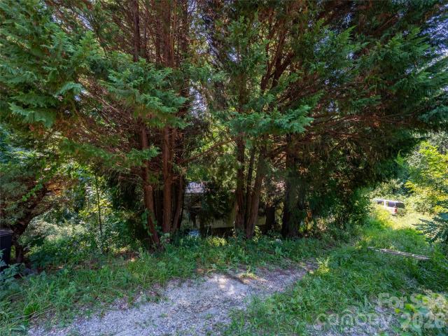 Land for sale in Saluda, North Carolina
