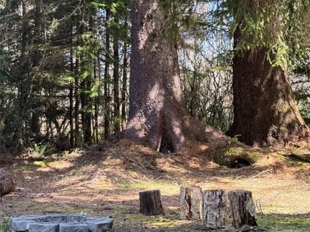 Land for sale in Long Beach, Washington